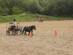 img_9509_web